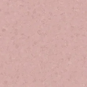 21020 781