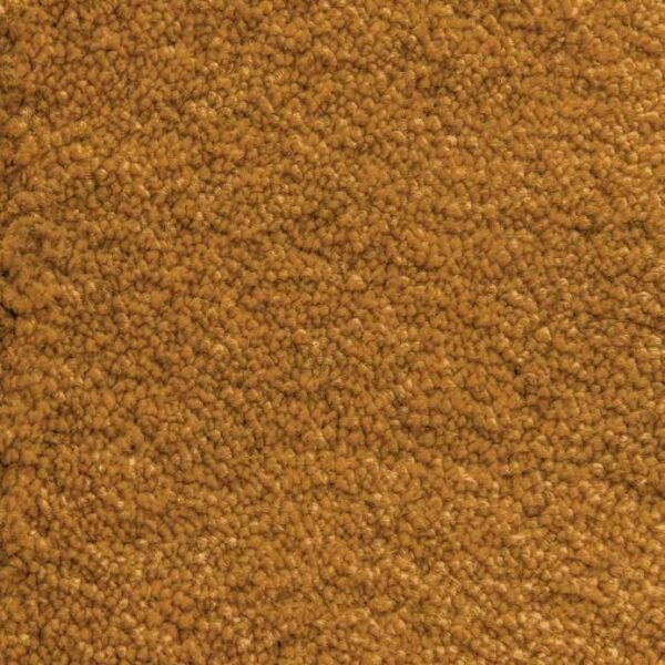 Ochre 50