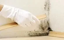 Moisture Treatment